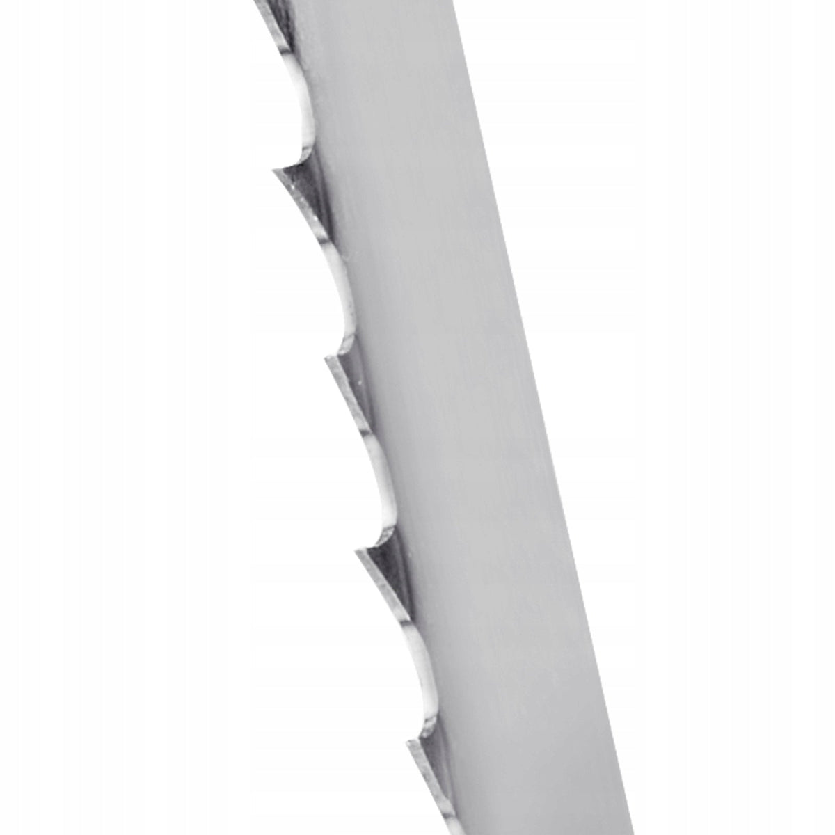 VEVOR BRZESZCZOT TAŚMOWY 1832X12 7X0 5MM 4TPI MOCNY DO DREWNA PREMIUM